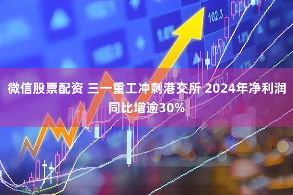 微信股票配资 三一重工冲刺港交所 2024年净利润同比增逾30%