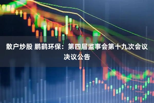 散户炒股 鹏鹞环保：第四届监事会第十九次会议决议公告