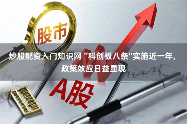 炒股配资入门知识网 ″科创板八条″实施近一年, 政策效应日益显现