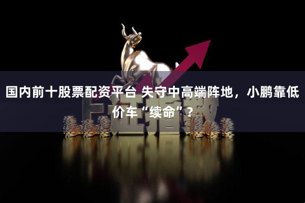 国内前十股票配资平台 失守中高端阵地，小鹏靠低价车“续命”？